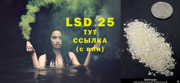 ПСИЛОЦИБИНОВЫЕ ГРИБЫ Балахна