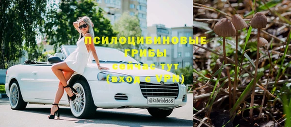 дмт Баксан