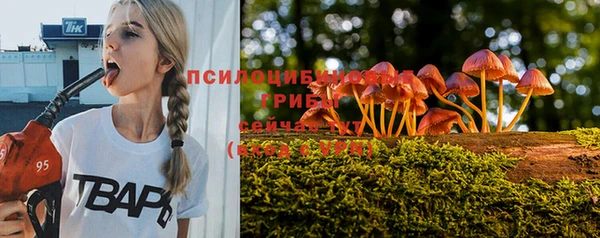 ПСИЛОЦИБИНОВЫЕ ГРИБЫ Балахна