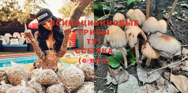 дмт Баксан