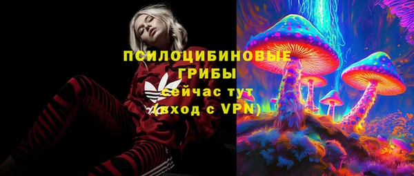 индика Белоозёрский
