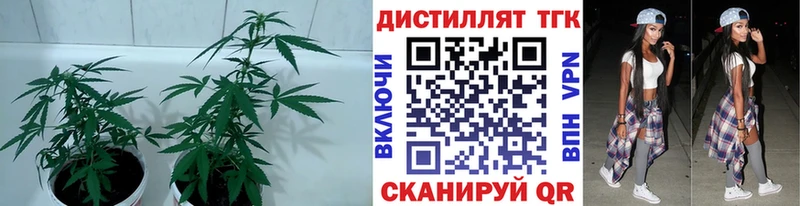 ТГК THC oil  Туран 